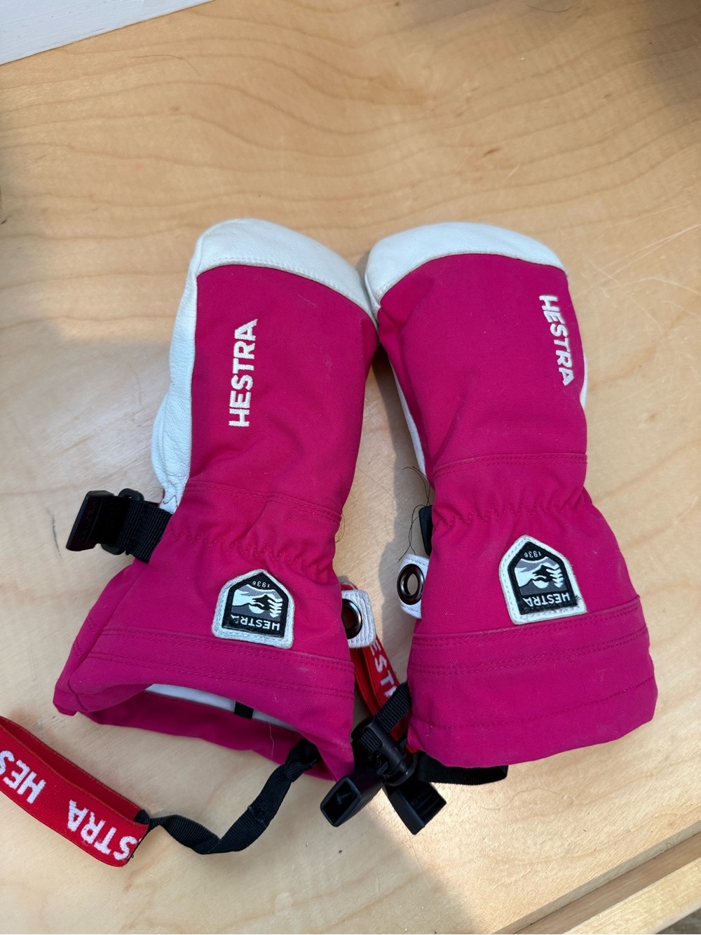 Kids Hestra Ski Mittens